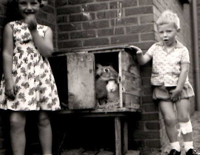 20231106_201704_0004